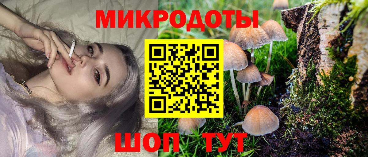 цены наркотик  Ульяновск  Галлюциногенные грибы MAGIC MUSHROOMS  Галлюциногенные грибы GOLDEN TEACHER 