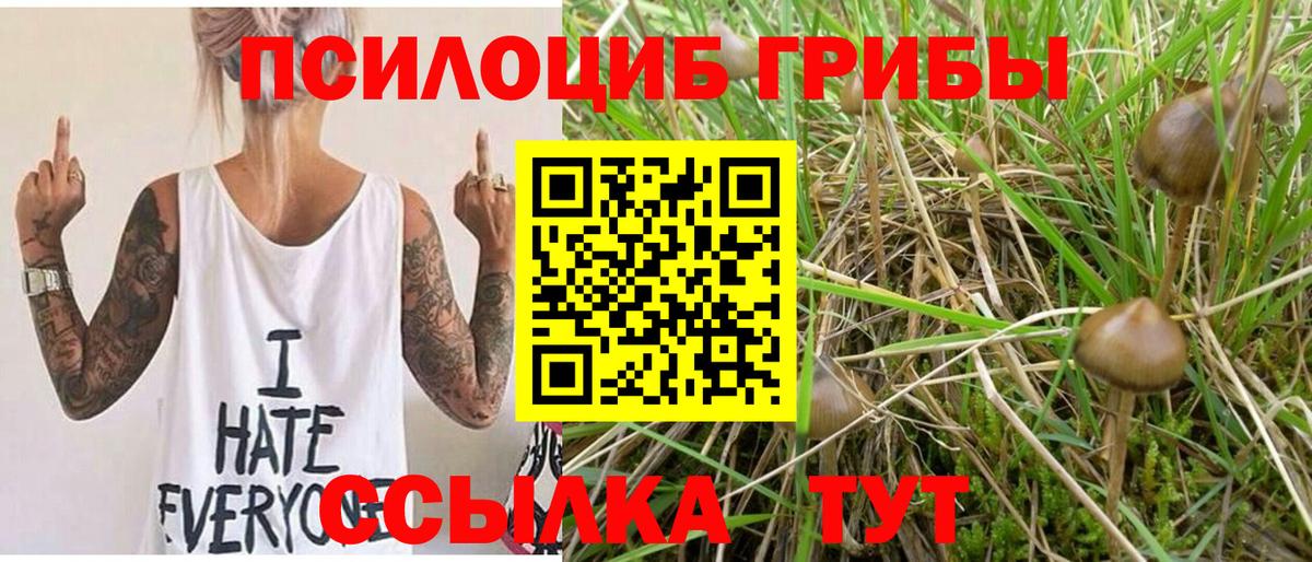 Псилоцибиновые грибы мицелий Ульяновск