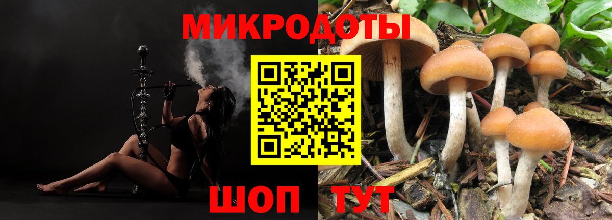 Галлюциногенные грибы прущие грибы  Вход с VPN  Ульяновск  купить наркотики сайты  Галлюциногенные грибы ЛСД 